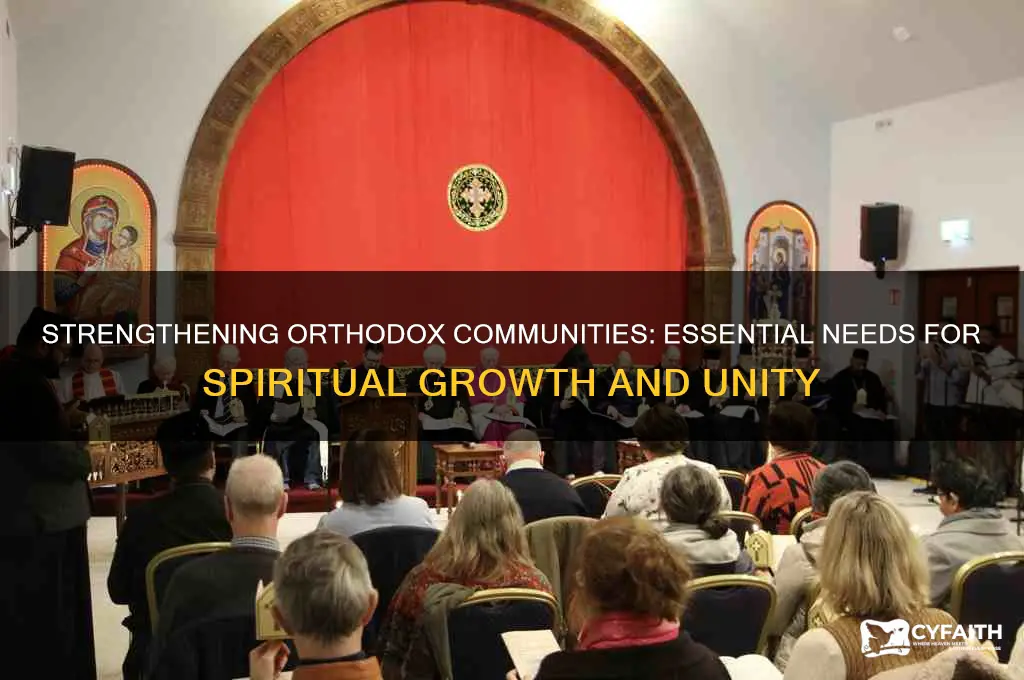 what does the orthodox community need