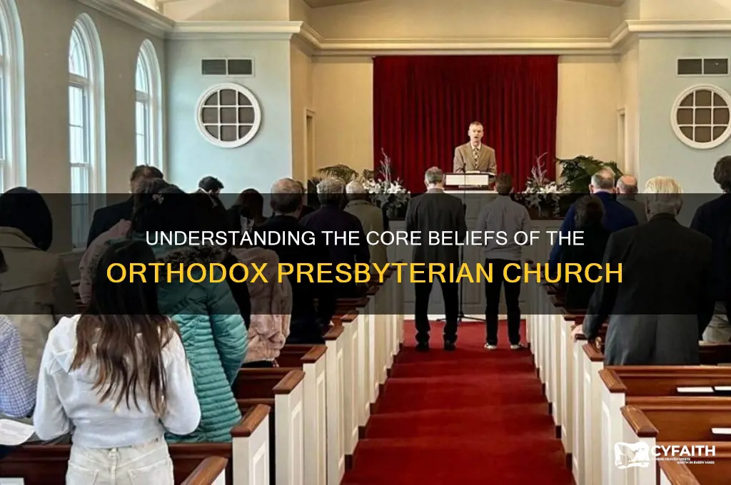 what does the orthodox presbyterian church believe