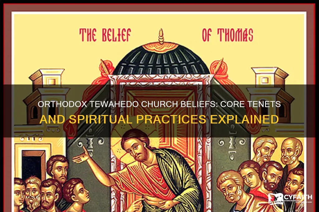 what does the orthodox tewahedo church believe