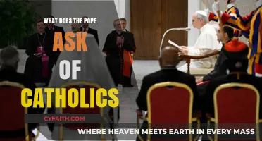 Pope's Call to Catholics: Faith, Action, and Global Unity Explained