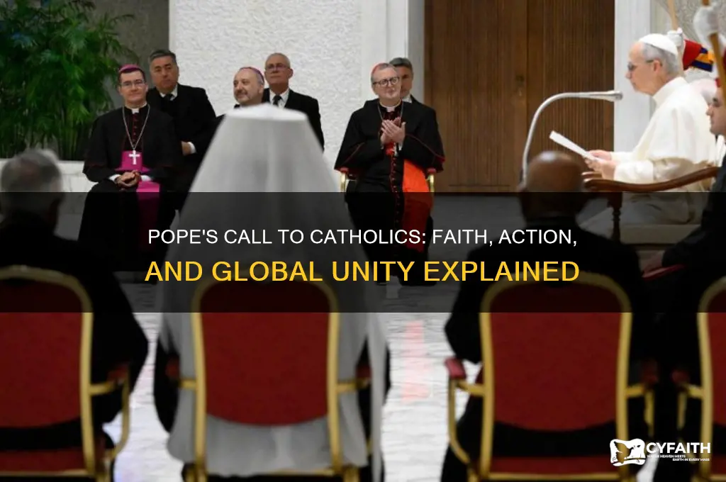 what does the pope ask of catholics