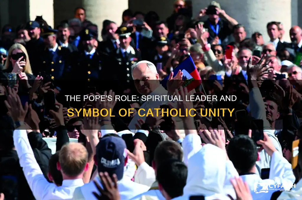 what does the pope represent to catholics