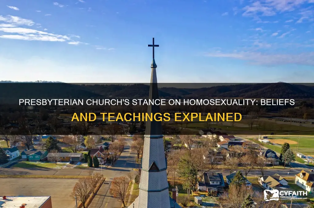 what does the presbyterian church believe about homosexuality