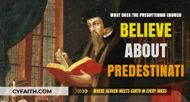 Presbyterian Church's Predestination Doctrine: Core Beliefs Explained