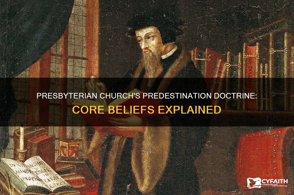 what does the presbyterian church believe about predestination
