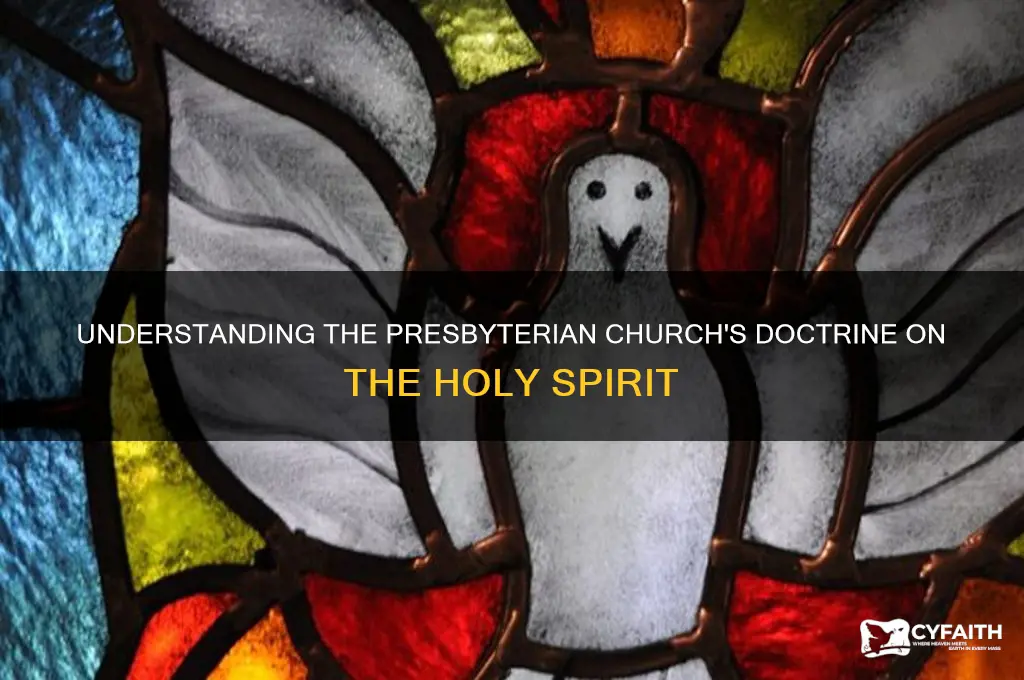 what does the presbyterian church believe about the holy spirit