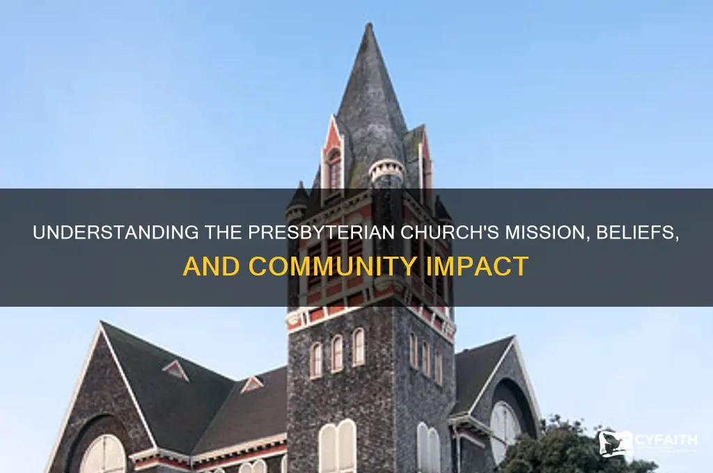 what does the presbyterian church do