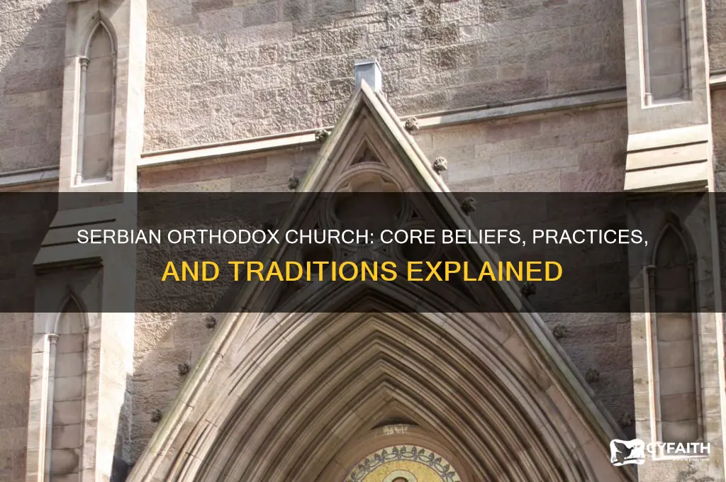 what does the serbian orthodox church believe