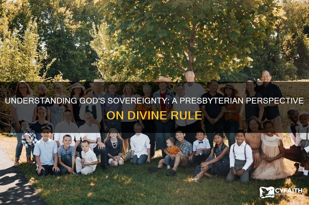 what does the sovereignty of god mean to presbyterian
