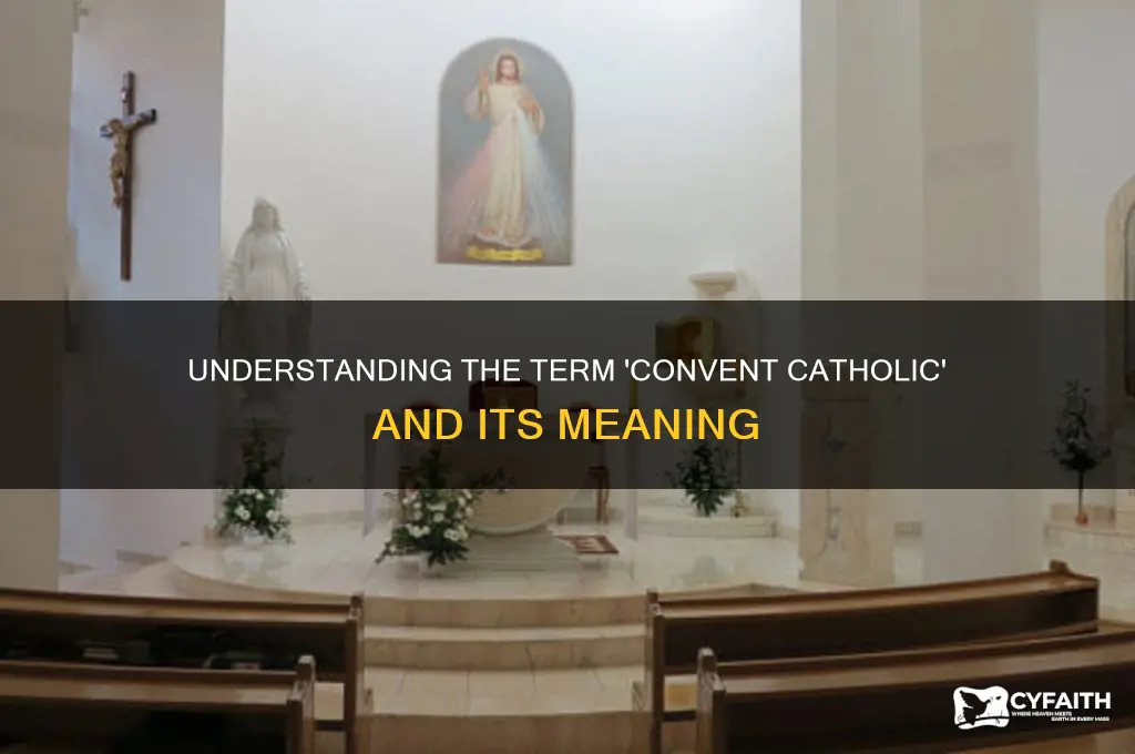 what does the term convent catholic c