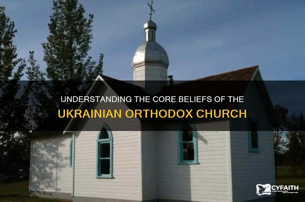 what does the ukrainian orthodox church believe