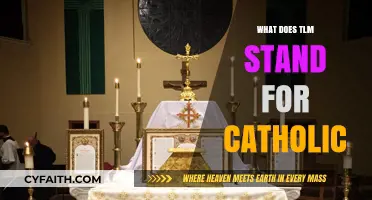 Understanding TLM: The Traditional Latin Mass in Catholicism Explained