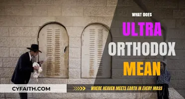 Understanding Ultra-Orthodox Judaism: Beliefs, Practices, and Cultural Significance