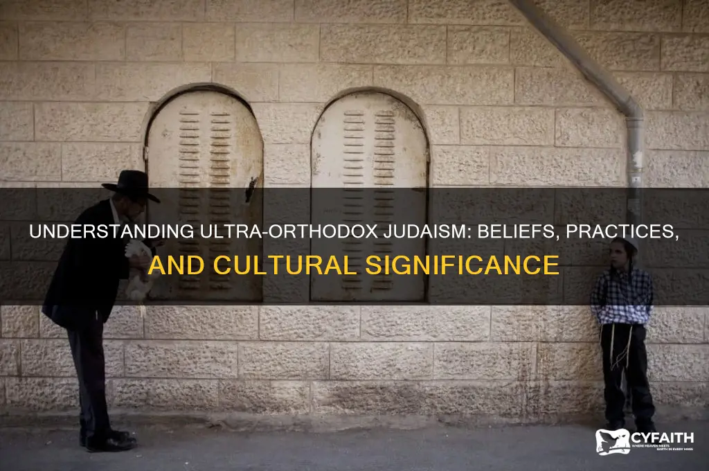 what does ultra orthodox mean