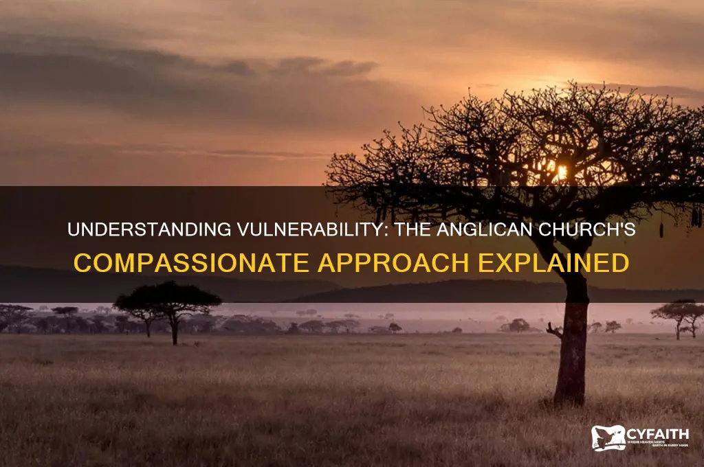 what does vulnerable mean in the anglican church