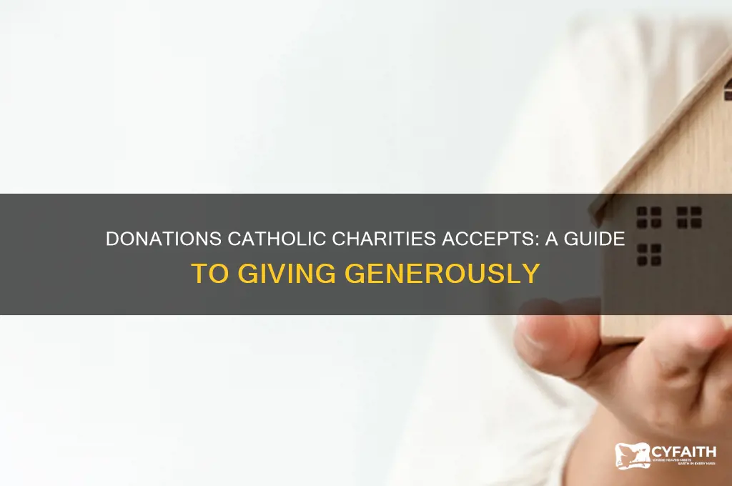 what donations does catholic charities take