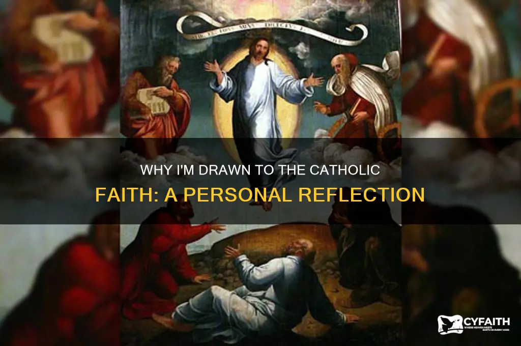 what draws you to the catholic faith