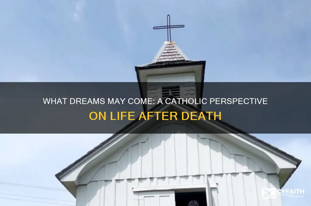 what dreams may come catholic review
