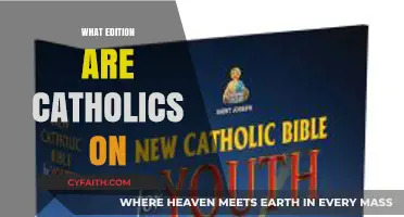 Understanding the Catholic Bible: Which Edition Do Catholics Use?