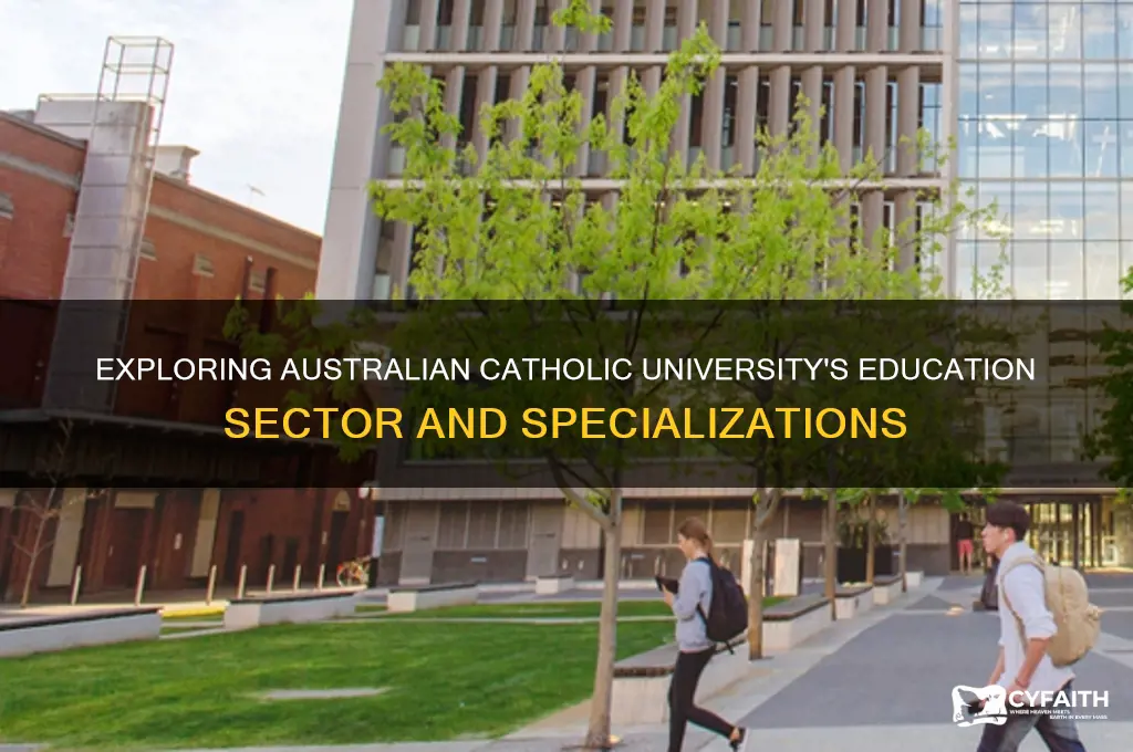 what education sector is australian catholic university
