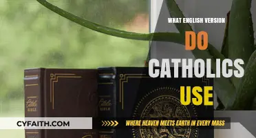 Which English Bible Translation Do Catholics Prefer and Why?