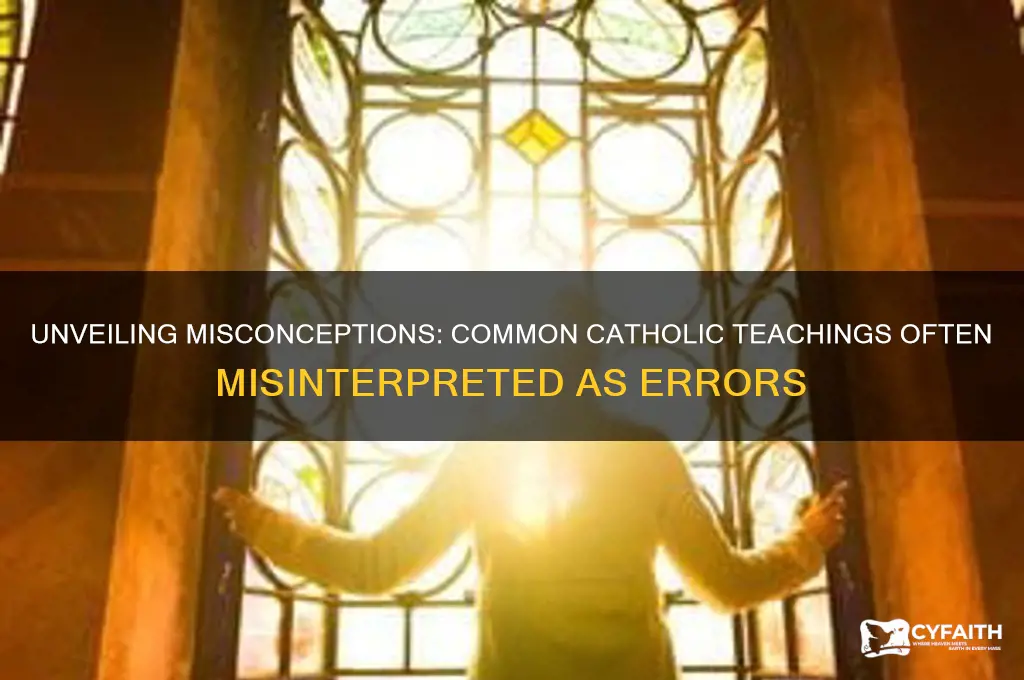 what error do catholics teach