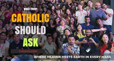 Essential Questions Every Catholic Must Ponder for Faith and Growth