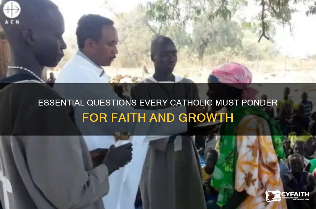 what every catholic should ask