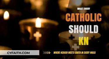 Essential Catholic Teachings: What Every Faithful Follower Should Know