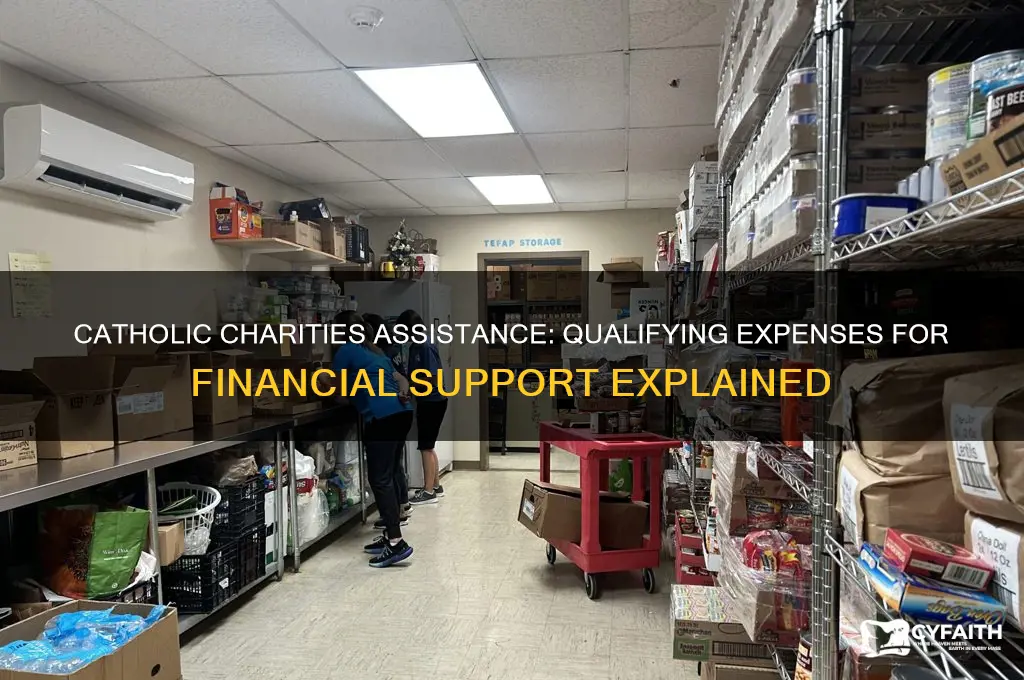 what expenses help qualify to gey help from catholic charities