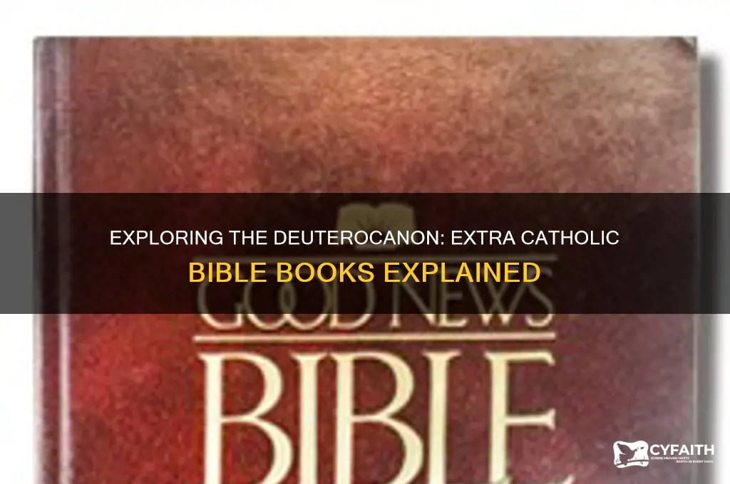 what extra books do catholics have