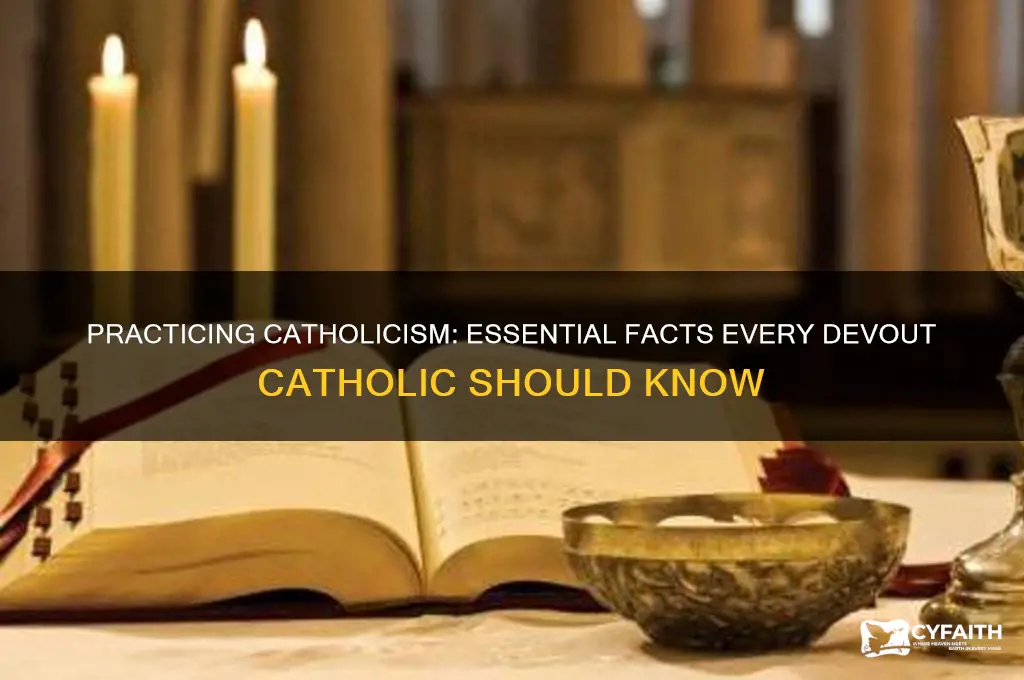 what facts are practiced catholic