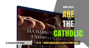 Exploring Core Catholic Beliefs: Essential Facts Every Christian Should Know