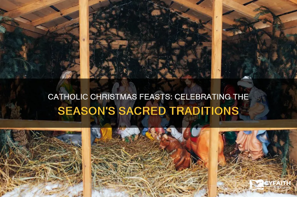 what feast does catholic celebrate during chriatmas season