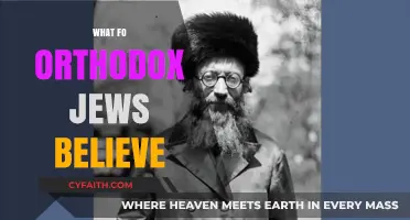 Understanding Orthodox Judaism: Core Beliefs and Practices Explained