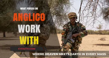 Understanding the Forces and Partnerships Behind Anglico's Operations