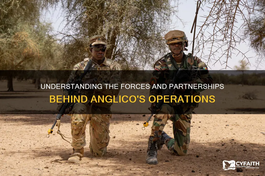 what forces do anglico work with