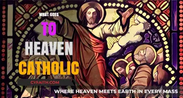 Catholic Beliefs: Who or What Ascends to Heaven?
