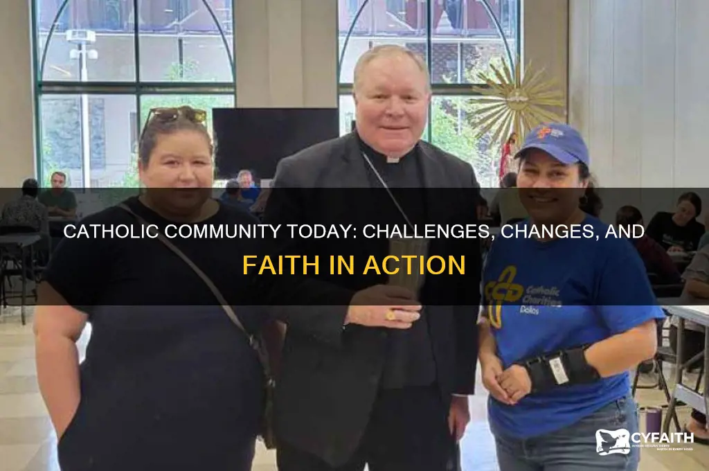 what going on in the catholic community