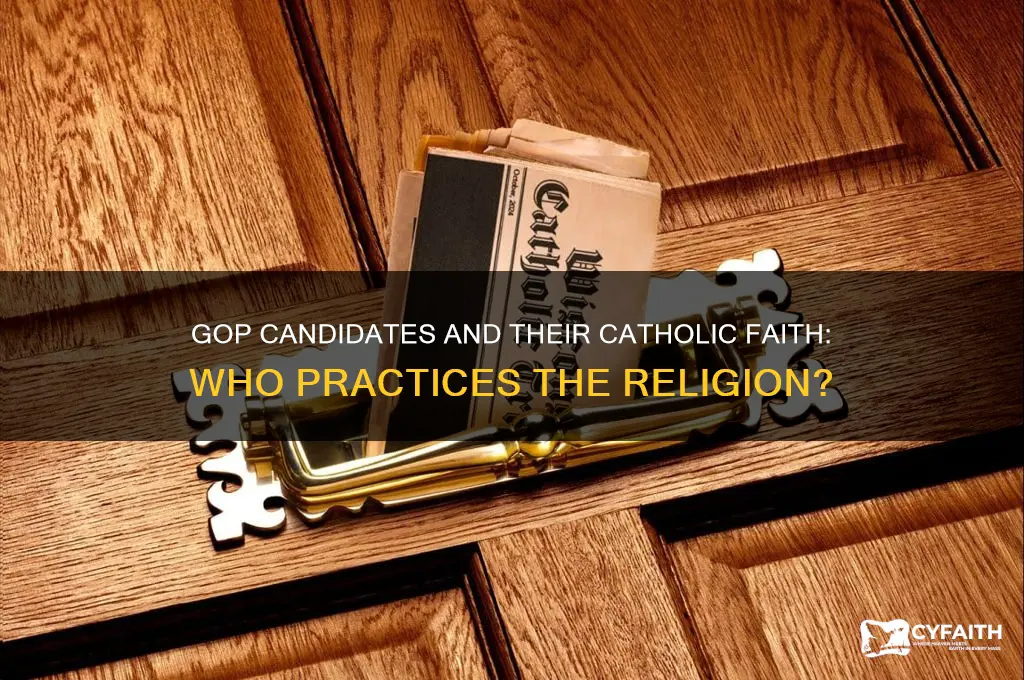 what gop candidates are catholic