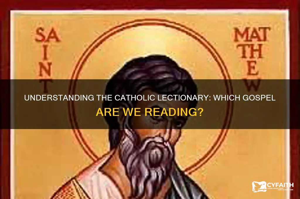 what gospel are we reading catholic