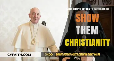 Gospel Insights: Uniting Catholics and Christianity's Shared Faith Journey