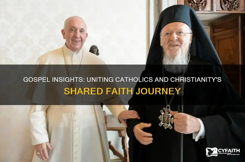 what gospel speaks to catholics to show them christianity