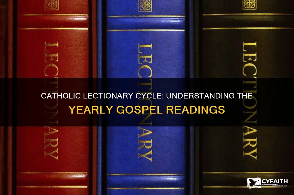 what gospels are catholic each year