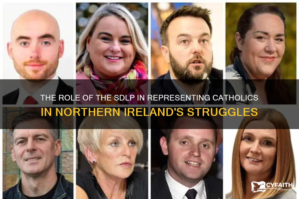 what group represented catholics in th struggles occuring northern ireland