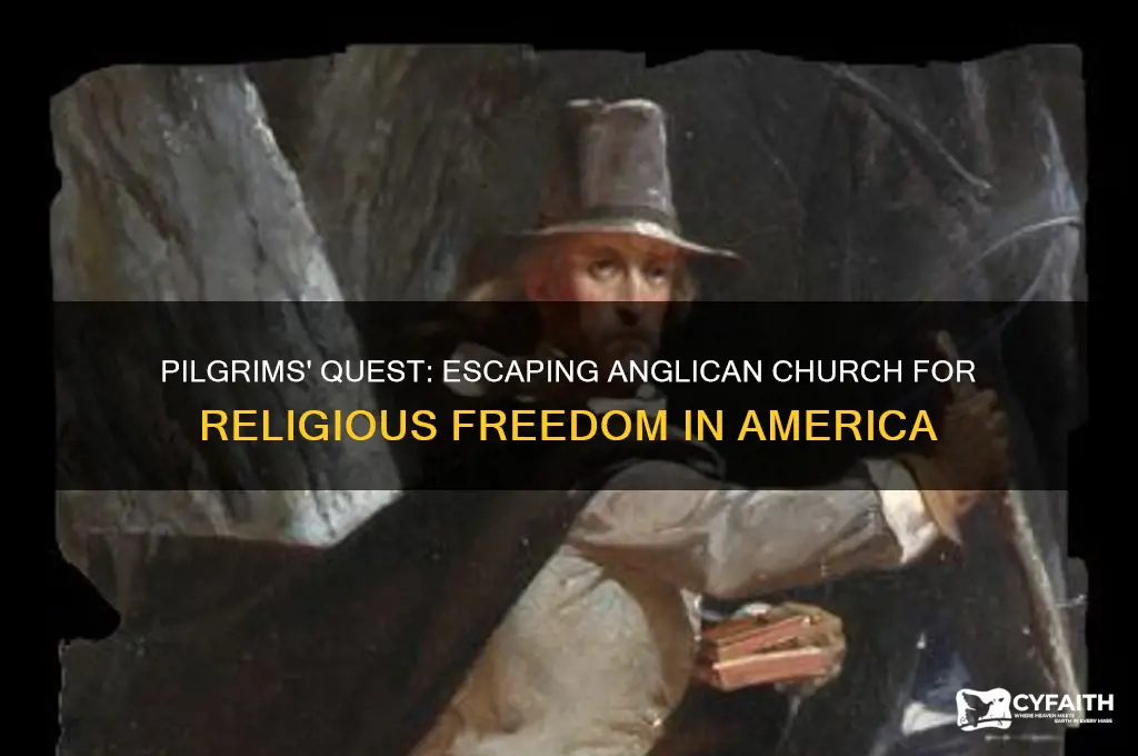 what group sought religious freedom from england