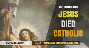After Jesus' Death: Catholic Teachings on Resurrection and Salvation