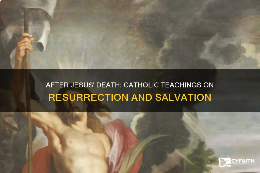 what happened after jesus died catholic