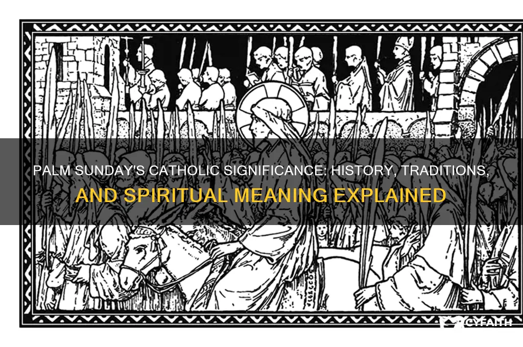 what happened on palm sunday catholic