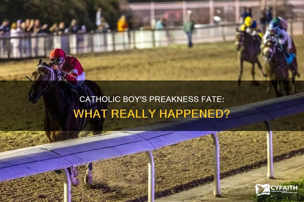 what happened to catholic boy in preakness